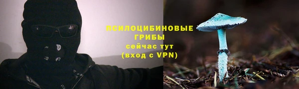 spice Балабаново