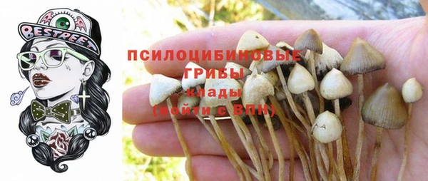 spice Балабаново