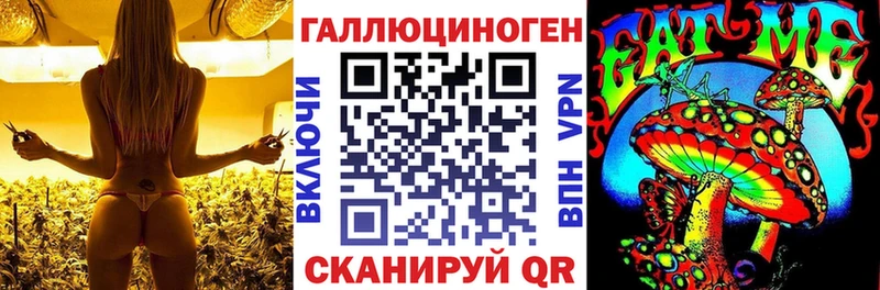 купить закладку  Северо-Курильск  мега маркетплейс  Псилоцибиновые грибы Cubensis 