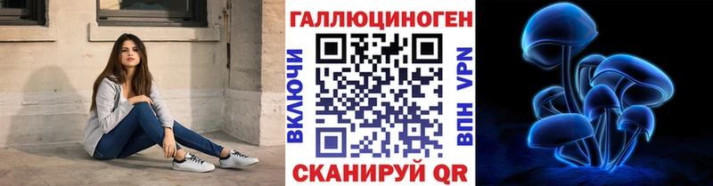 Псилоцибиновые грибы Psilocybe Северо-Курильск